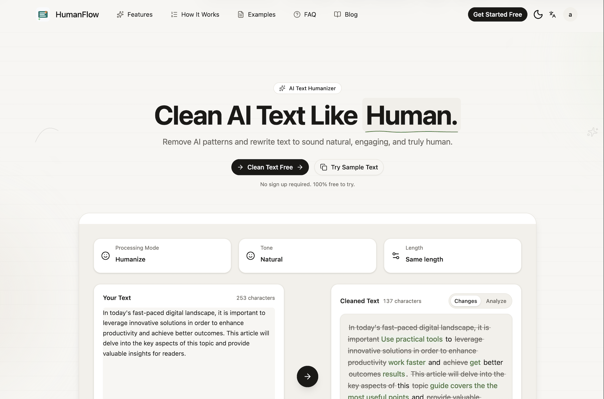 AI Text Cleaner HumanFlow